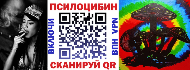 закладка  Сортавала  Псилоцибиновые грибы мухоморы 